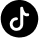 icono tictok