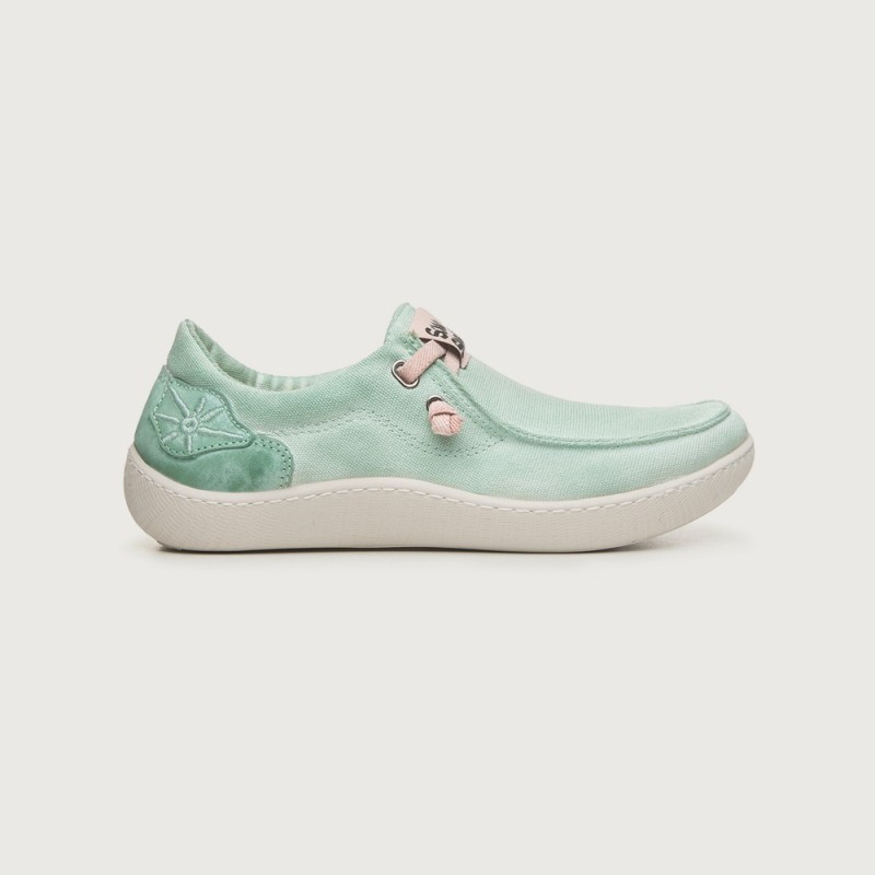 KIKAI MENTA