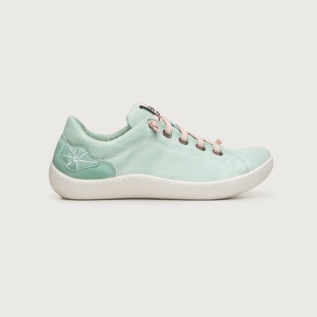 OSHIMA MENTA